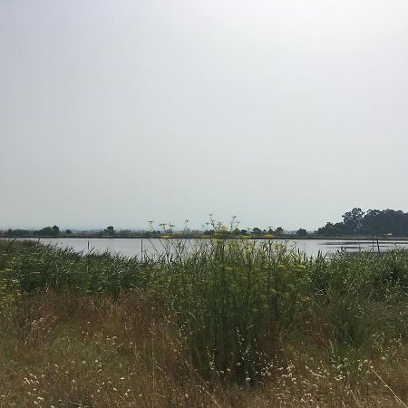 Moradia Proxima Da Praia Do Areinho, Na Ria, E Praia Dos Marretas Ovar Ngoại thất bức ảnh